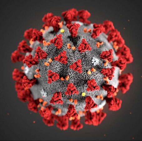 A close up image of the Covid-19 virus